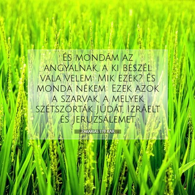 Picture 07 - Zakariás 1:19 KAR - És mondám az angyalnak, a ki beszél vala - Bible Verse Picture