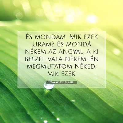 Picture 07 - Zakariás 1:9 KAR - És mondám: Mik ezek Uram? És mondá nékem az - Bible Verse Picture