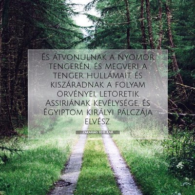 Picture 07 - Zakariás 10:11 KAR - És átvonulnak a nyomor tengerén, és megveri a - Bible Verse Picture
