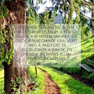 Picture 07 - Zakariás 13:7 KAR - Fegyver, serkenj fel az én pásztorom ellen és - Bible Verse Picture