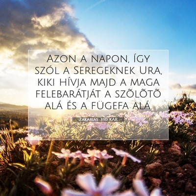 Picture 07 - Zakariás 3:10 KAR - Azon a napon, így szól a Seregeknek Ura, kiki - Bible Verse Picture