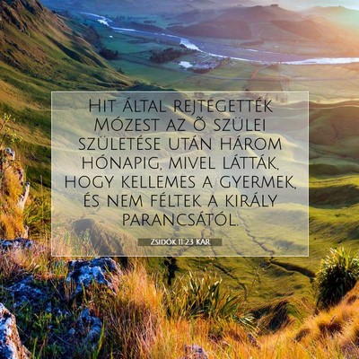 Picture 07 - Zsidók 11:23 KAR - Hit által rejtegették Mózest az õ szülei - Bible Verse Picture