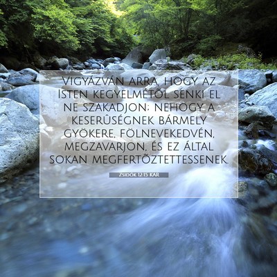 Picture 07 - Zsidók 12:15 KAR - Vigyázván arra, hogy az Isten kegyelmétõl - Bible Verse Picture