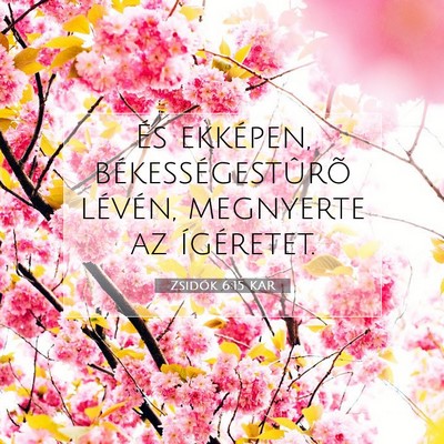 Picture 07 - Zsidók 6:15 KAR - És ekképen, békességestûrõ lévén, - Bible Verse Picture
