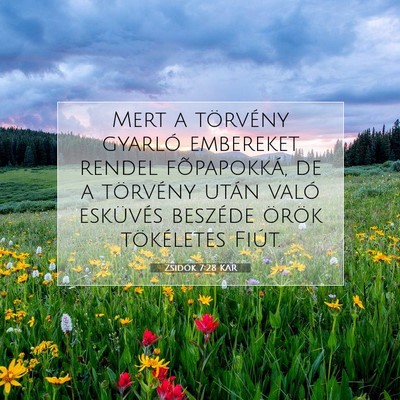 Picture 07 - Zsidók 7:28 KAR - Mert a törvény gyarló embereket rendel - Bible Verse Picture