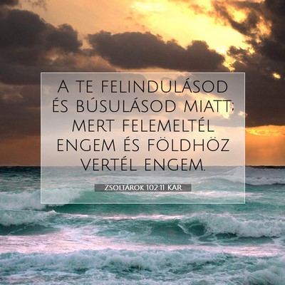 Picture 07 - Zsoltárok 102:11 KAR - A te felindulásod és búsulásod miatt; mert - Bible Verse Picture