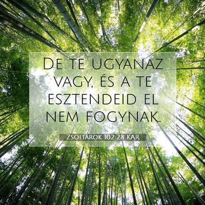 Picture 07 - Zsoltárok 102:28 KAR - De te ugyanaz vagy, és a te esztendeid el nem - Bible Verse Picture