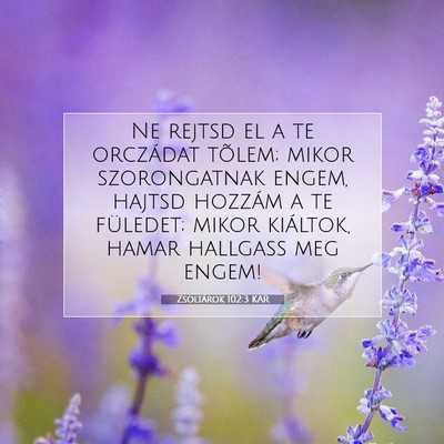Picture 07 - Zsoltárok 102:3 KAR - Ne rejtsd el a te orczádat tõlem; mikor - Bible Verse Picture