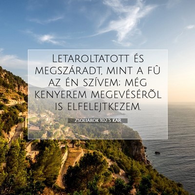 Picture 07 - Zsoltárok 102:5 KAR - Letaroltatott és megszáradt, mint a fû az én - Bible Verse Picture