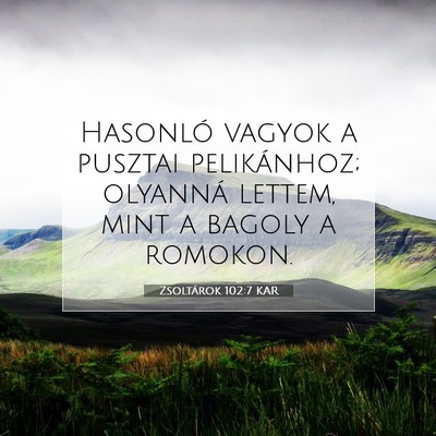 Picture 07 - Zsoltárok 102:7 KAR - Hasonló vagyok a pusztai pelikánhoz; olyanná - Bible Verse Picture
