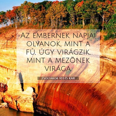 Picture 07 - Zsoltárok 103:15 KAR - Az embernek napjai olyanok, mint a fû, úgy - Bible Verse Picture
