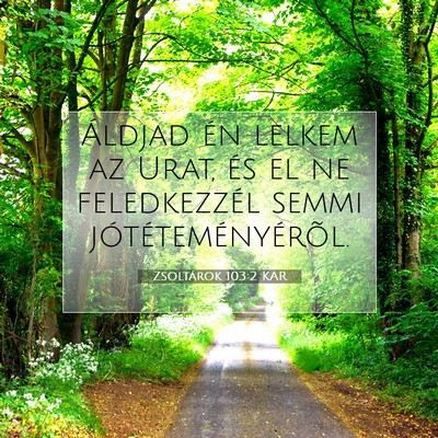 Picture 07 - Zsoltárok 103:2 KAR - Áldjad én lelkem az Urat, és el ne - Bible Verse Picture