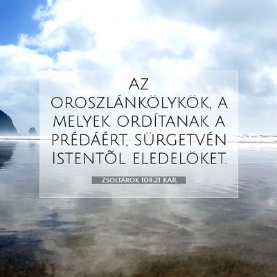 Picture 07 - Zsoltárok 104:21 KAR - Az oroszlánkölykök, a melyek ordítanak a - Bible Verse Picture