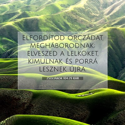 Picture 07 - Zsoltárok 104:29 KAR - Elfordítod orczádat, megháborodnak; elveszed a - Bible Verse Picture