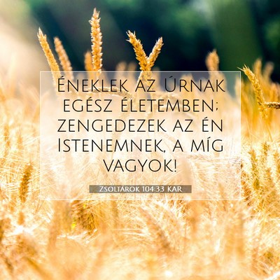 Picture 07 - Zsoltárok 104:33 KAR - Éneklek az Úrnak egész életemben; zengedezek - Bible Verse Picture