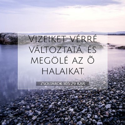 Picture 07 - Zsoltárok 105:29 KAR - Vizeiket vérré változtatá, és megölé az õ - Bible Verse Picture