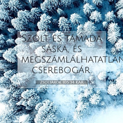Picture 07 - Zsoltárok 105:34 KAR - Szólt és támada sáska, és - Bible Verse Picture