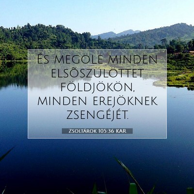 Picture 07 - Zsoltárok 105:36 KAR - És megöle minden elsõszülöttet földjökön, - Bible Verse Picture