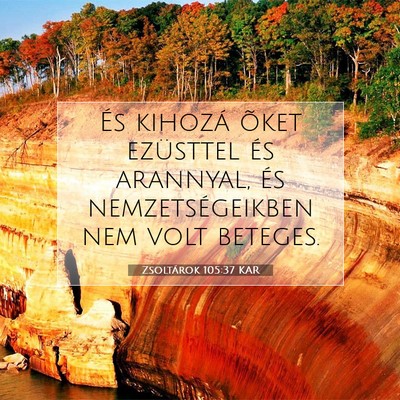 Picture 07 - Zsoltárok 105:37 KAR - És kihozá õket ezüsttel és arannyal, és - Bible Verse Picture