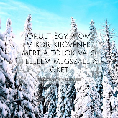 Picture 07 - Zsoltárok 105:38 KAR - Örült Égyiptom, mikor kijövének, mert a - Bible Verse Picture