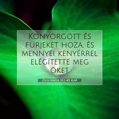 Picture 07 - Zsoltárok 105:40 KAR - Könyörgött és fürjeket hoza, és mennyei - Bible Verse Picture