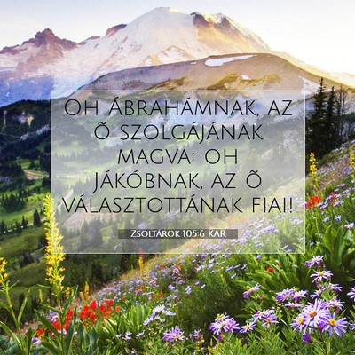 Picture 07 - Zsoltárok 105:6 KAR - Oh Ábrahámnak, az õ szolgájának magva; oh - Bible Verse Picture