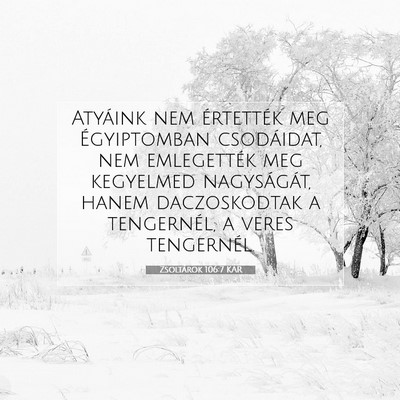 Picture 07 - Zsoltárok 106:7 KAR - Atyáink nem értették meg Égyiptomban - Bible Verse Picture