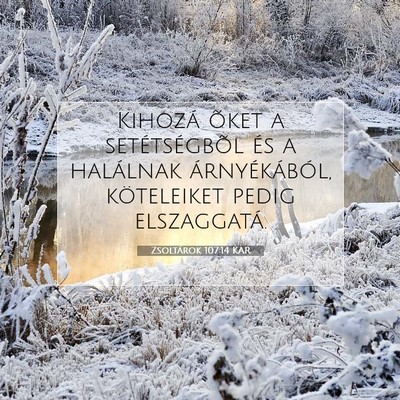 Picture 07 - Zsoltárok 107:14 KAR - Kihozá õket a setétségbõl és a halálnak - Bible Verse Picture
