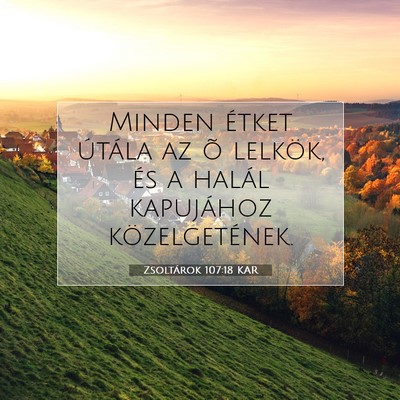 Picture 07 - Zsoltárok 107:18 KAR - Minden étket útála az õ lelkök, és a halál - Bible Verse Picture