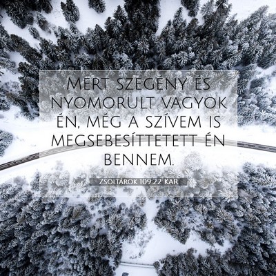 Picture 07 - Zsoltárok 109:22 KAR - Mert szegény és nyomorult vagyok én, még a - Bible Verse Picture