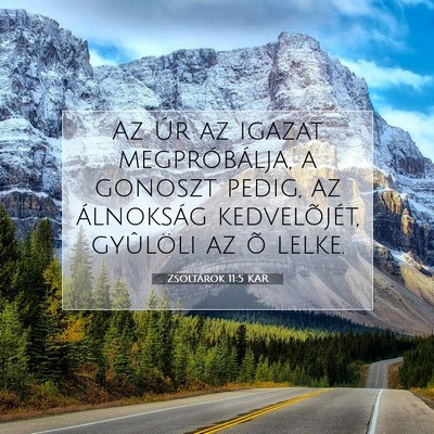 Picture 07 - Zsoltárok 11:5 KAR - Az Úr az igazat megpróbálja, a gonoszt pedig, - Bible Verse Picture