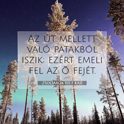 Picture 07 - Zsoltárok 110:7 KAR - Az út mellett való patakból iszik; ezért - Bible Verse Picture