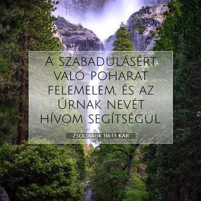 Picture 07 - Zsoltárok 116:13 KAR - A szabadulásért való poharat felemelem, és az - Bible Verse Picture