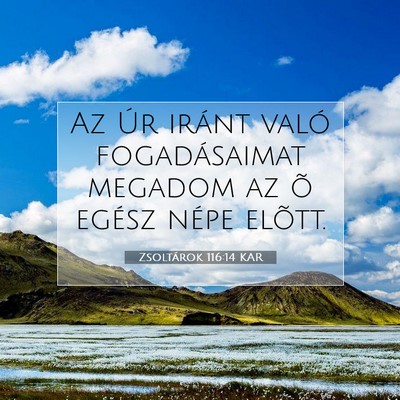Picture 07 - Zsoltárok 116:14 KAR - Az Úr iránt való fogadásaimat megadom az õ - Bible Verse Picture