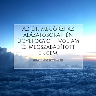 Picture 07 - Zsoltárok 116:6 KAR - Az Úr megõrzi az alázatosokat; én - Bible Verse Picture