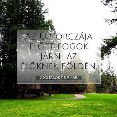 Picture 07 - Zsoltárok 116:9 KAR - Az Úr orczája elõtt fogok járni az élõknek - Bible Verse Picture