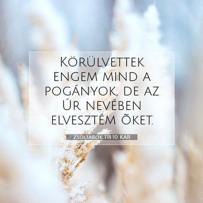 Picture 07 - Zsoltárok 118:10 KAR - Körülvettek engem mind a pogányok, de az Úr - Bible Verse Picture