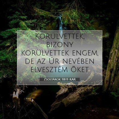 Picture 07 - Zsoltárok 118:11 KAR - Körülvettek, bizony körülvettek engem, de az - Bible Verse Picture