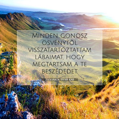 Picture 07 - Zsoltárok 119:101 KAR - Minden gonosz ösvénytõl visszatartóztattam - Bible Verse Picture