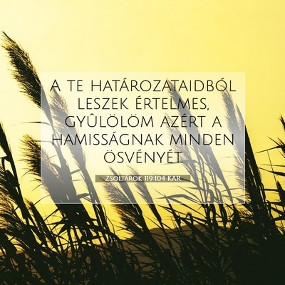 Picture 07 - Zsoltárok 119:104 KAR - A te határozataidból leszek értelmes, - Bible Verse Picture