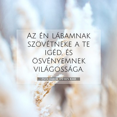 Picture 07 - Zsoltárok 119:105 KAR - Az én lábamnak szövétneke a te igéd, és - Bible Verse Picture