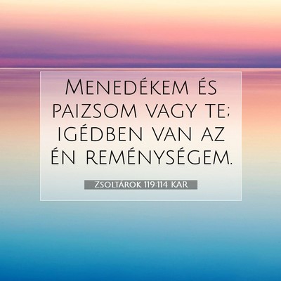 Picture 07 - Zsoltárok 119:114 KAR - Menedékem és paizsom vagy te; igédben van az - Bible Verse Picture