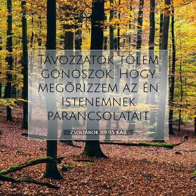 Picture 07 - Zsoltárok 119:115 KAR - Távozzatok tõlem gonoszok, hogy megõrizzem az - Bible Verse Picture