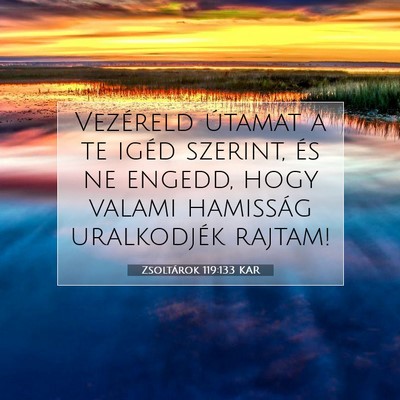 Picture 07 - Zsoltárok 119:133 KAR - Vezéreld útamat a te igéd szerint, és ne - Bible Verse Picture