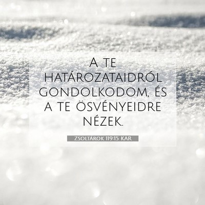 Picture 07 - Zsoltárok 119:15 KAR - A te határozataidról gondolkodom, és a te - Bible Verse Picture