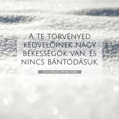 Picture 07 - Zsoltárok 119:165 KAR - A te törvényed kedvelõinek nagy békességök - Bible Verse Picture