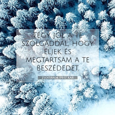 Picture 07 - Zsoltárok 119:17 KAR - Tégy jól a te szolgáddal, hogy éljek és - Bible Verse Picture