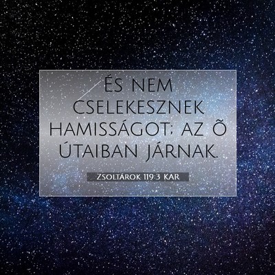 Picture 07 - Zsoltárok 119:3 KAR - És nem cselekesznek hamisságot; az õ útaiban - Bible Verse Picture