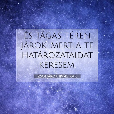 Picture 07 - Zsoltárok 119:45 KAR - És tágas téren járok, mert a te - Bible Verse Picture