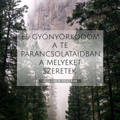 Picture 07 - Zsoltárok 119:47 KAR - És gyönyörködöm a te parancsolataidban, a - Bible Verse Picture